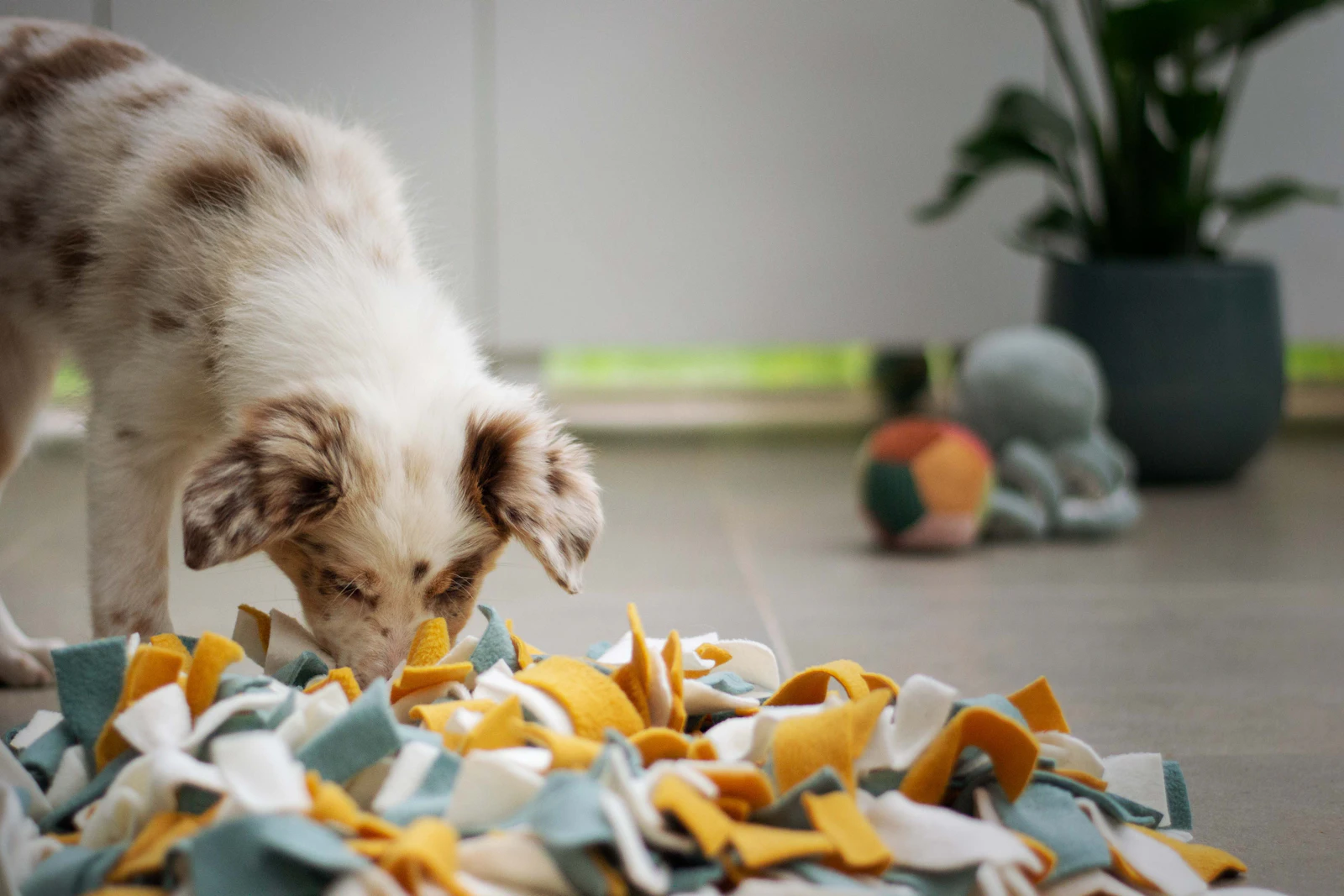 Puppy using a snuffle mat for a beginner scent game